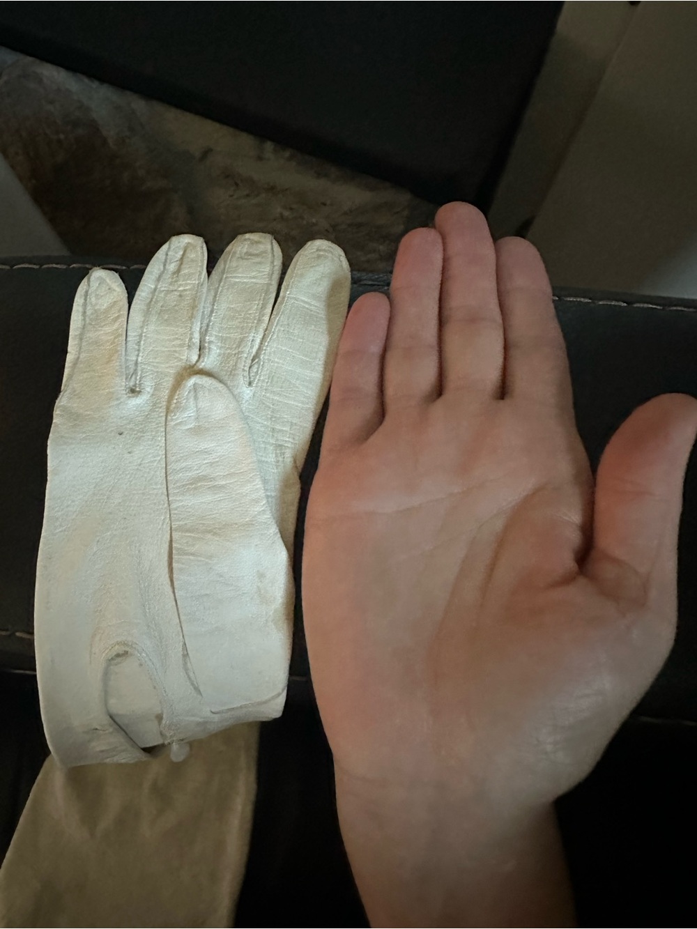 Antique Leather Opera Gloves with Button Detail - Picture 4 of 6